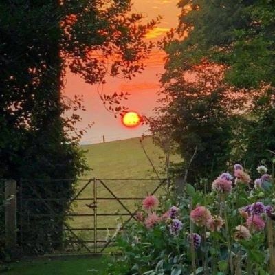 江南APP手机app下载