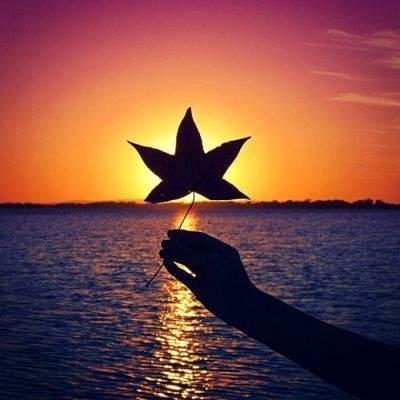 亚星娱乐网截图