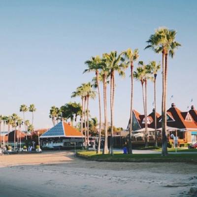 bsport体育在线登录