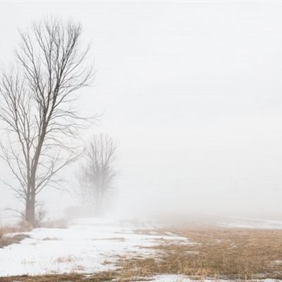 5848vip威尼斯电子游戏下载手机版